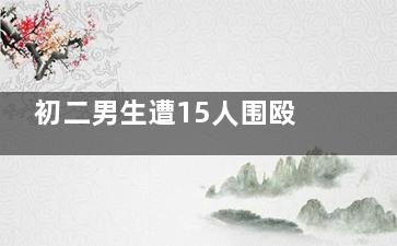 初二男生遭15人围殴刺伤3人获无罪 精神的损失是***无法弥补的
